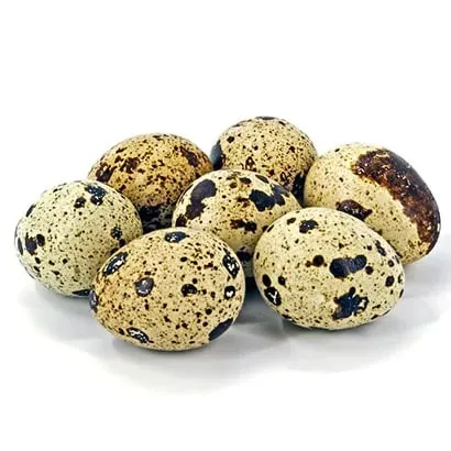 Quail Egg 12 pcs